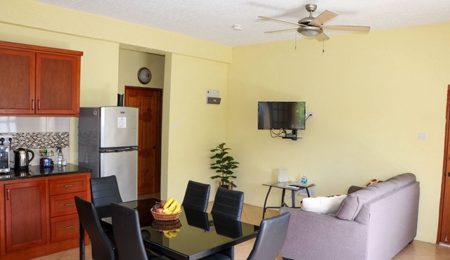 Cozy Single Apartment