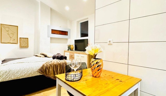 Cozy Studio Apartment Close to LK Klosterneuburg