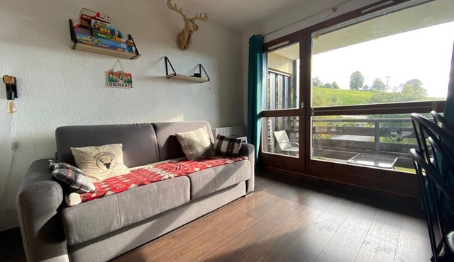 Cozy Studio for 4 near Slopes and Village Center, South-Facing, Pet Friendly