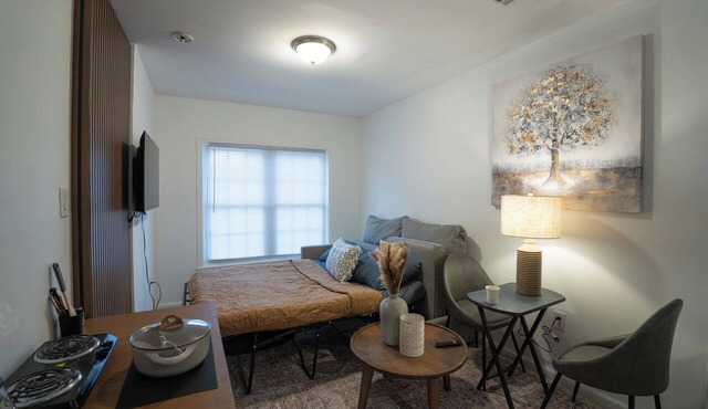 Cozy studio in lovely Duluth with WiFi, AC