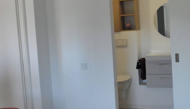 Cozy studio in pleasant București in quiet neighbourhood