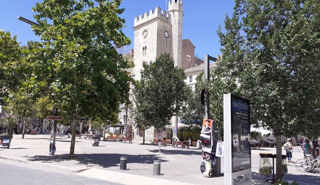 Cozy Studio in the Heart of Avignon: Your Perfect Getaway.