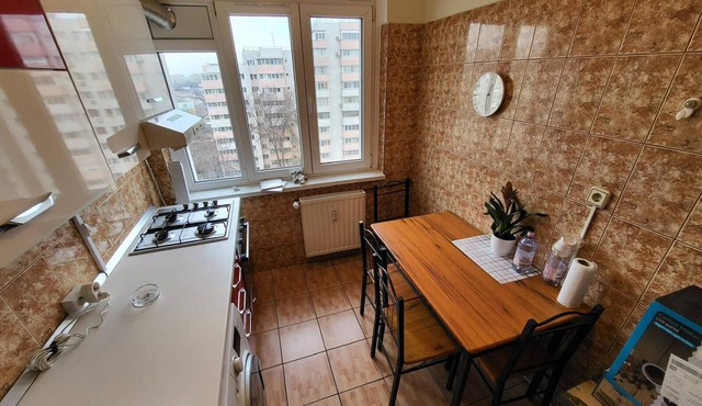 Cozy studio in welcoming Bucuresti with WiFi