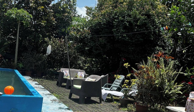 Cozy studio near rivers, waterfalls and nature