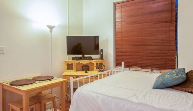Cozy Studio Steps from Boston Common and Theaters