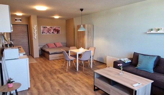 Cozy studio with AC and WiFi in fabulous Samokov