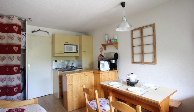 Cozy studio with balcony and pets allowed in Chamrousse