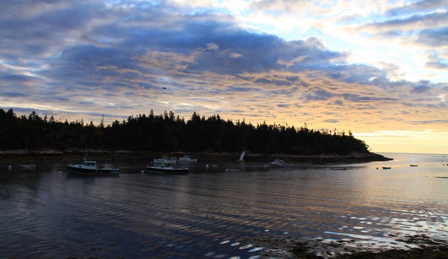 Cozy studio with spectacular views of Bunker's Harbor in Birch Harbor!