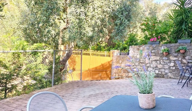 Cozy Studios for 2 Persons in Affisos Pelion - Your Perfect Retreat for a Serene Getaway!