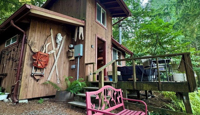 Cozy Tiny Cabin with RIVER VIEWS! nSleeps 3, hot tub, wood stove, fire pit!