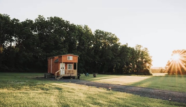 Cozy tiny home with Sunrise Views in the Heart of Finger Lakes