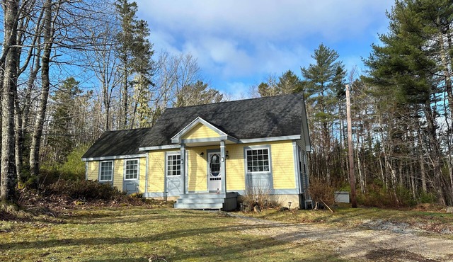 Cozy tranquil cottage, ocean view, nestled on the edge of a forest