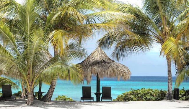 Cozy unit inside resort-style complex. Beachfront, Pools, Waterpark.