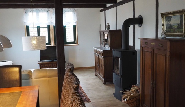 Cozy vacation apartment with fireplace in the Harz II