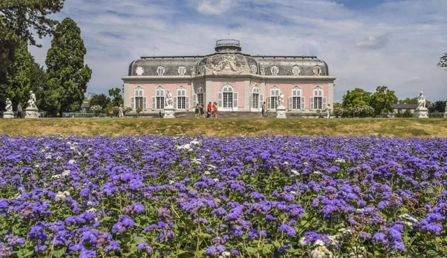Cozy vacation apartment close to Benrath Castle Düsseldorf with terrace and kitchen