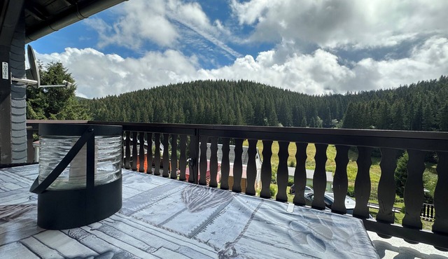 Cozy vacation home with large terrace in the Thuringian Forest