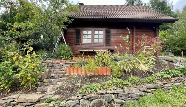 Cozy vacation home right by the forest, perfect for hiking and relaxing