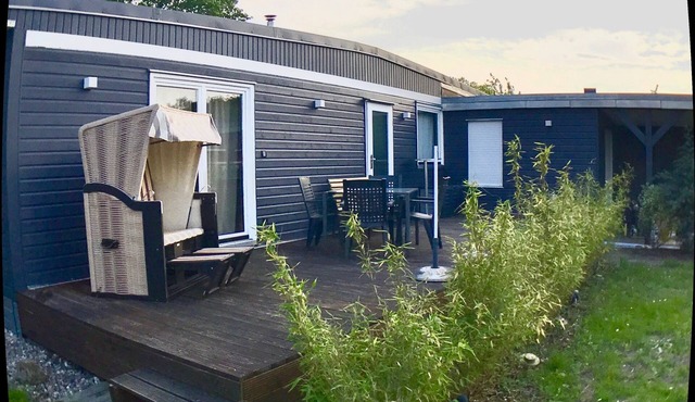 Cozy vacation home with terrace/garden on Lake Dümmer - dogs welcome - relaxation
