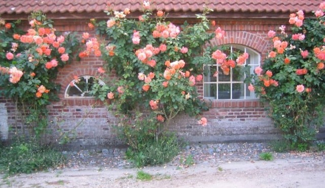 Cozy wheelwright's house on the Hohenstein estate