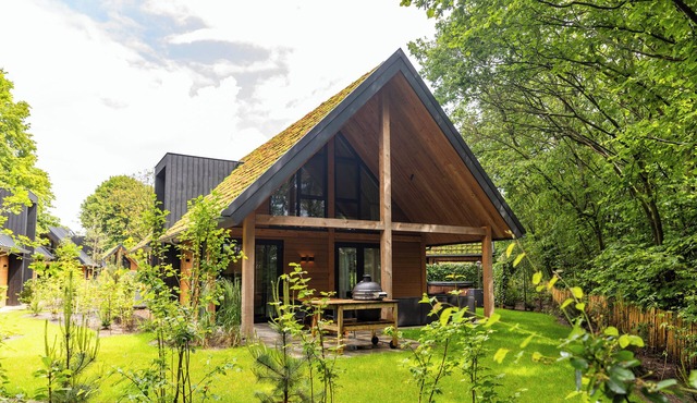 Cozy yet spacious forest villa with 3 suites – perfect for 6 nature lovers.