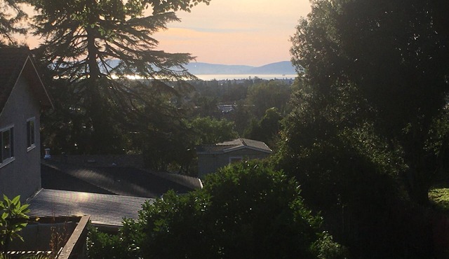 CozyOaks Studio - Charming cottage in woodsy Oakland with WiFi access