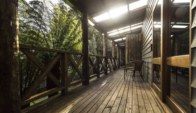Cradle Forest Inn
