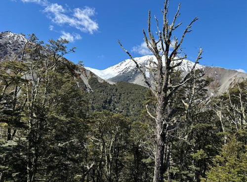 Craigieburn Valley