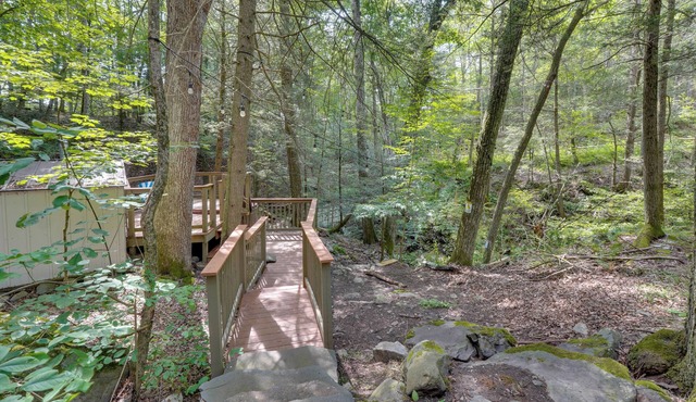 Creek Dips & Smores: Catskills Gem