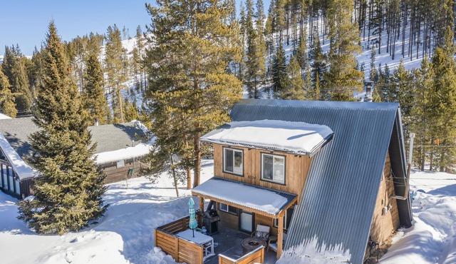 Creekside A-Frame | Wood Stove | 5 Min to Downtown
