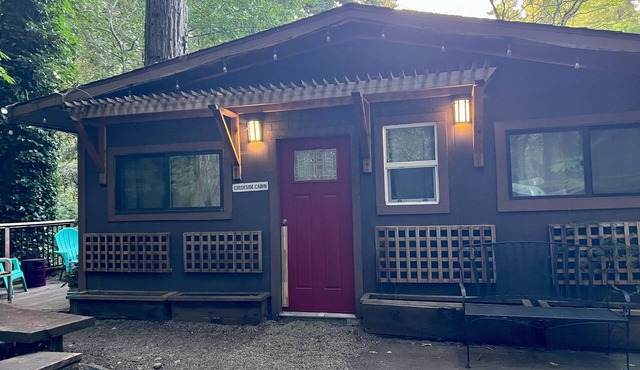 Creekside Cabin is great for families & couples-Come enjoy Santa Cruz Mountains!