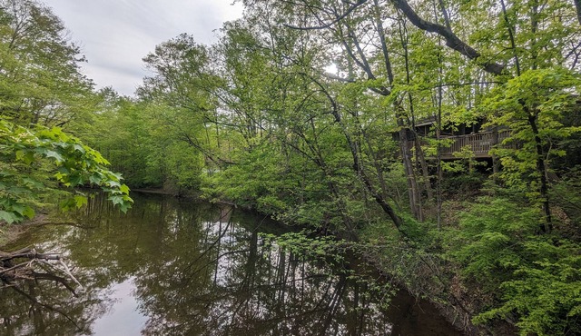 Creekside Hidden Eco Vintage Cottage in Nature Sanctuary