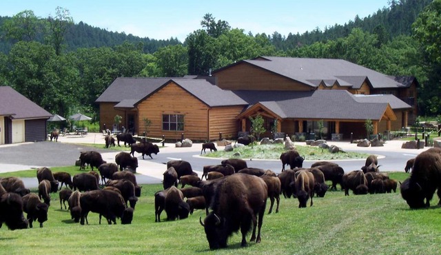Creekside Lodge at Custer State Park Resort