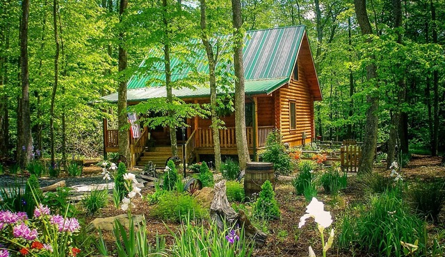 Creekside Serenade -2BR/2BA King Beds, Firepit, Gas F/P, Hot Tub, Easy Access
