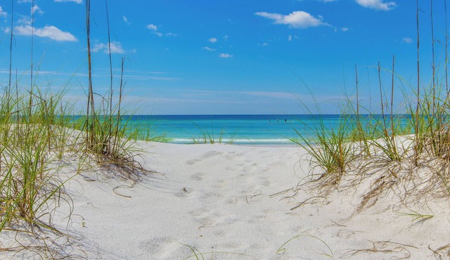 Crescent at Miramar-gulf Front Luxury Condo-free Beach Chairs!