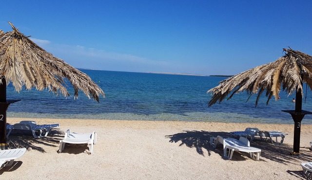 Croatia Zadar Vrsi zukve