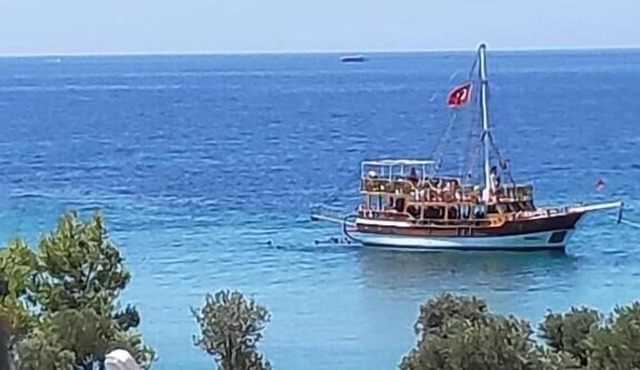 Crocus Turizm