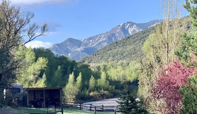 Crystal River Chalet on 2 acres with over 500ft of river frontage.