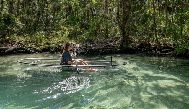Crystal River Small-Group Chassahowitzka Clear Kayak Tour