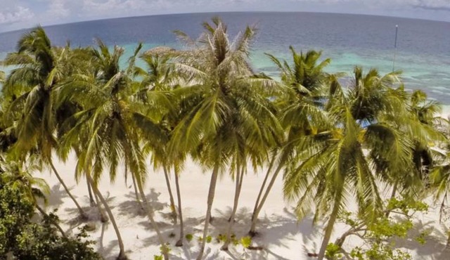 Crystal Sands