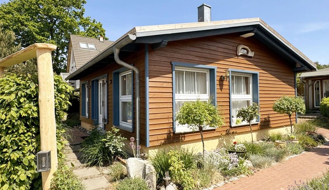 CSP: Holiday home Thea with terrace - Holiday home Thea with terrace