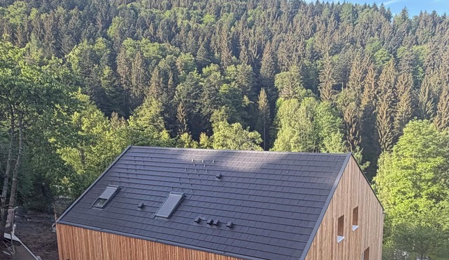 Cuckoo Clock Soul (Triberg) - Balcony and terrace