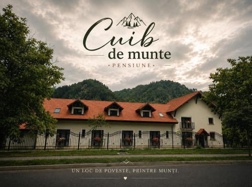 Cuib de Munte