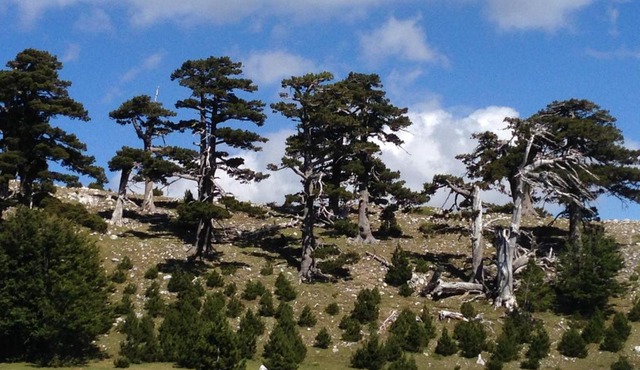 "CUORE DEL POLLINO" Locazione turistica