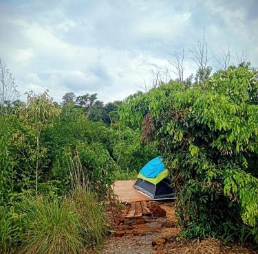 Curiango Birding Camp