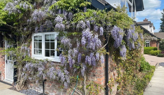 Curlew Cottage, Lower Peover