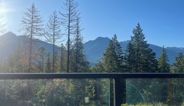 Custom built cabin! 5 minute drive from Kaslo and public beaches.