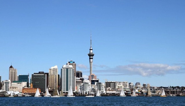 Customizable Private 5-Hour Tour of Auckland City