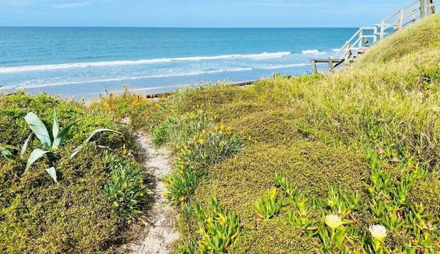 Cute little studio with beach just over the road. Sleeps 4!