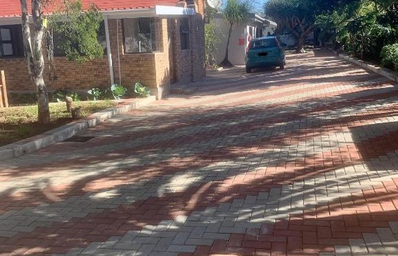Cycad Stay