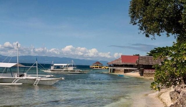 D' Gecko Hotel